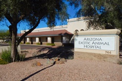 Arizona Exotic Animal Hospital; pet friendly vets in mesa arizona; veterinarians in mesa arizona