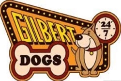Gilbert Dogs pet friendly pet boarding and grooming in mesa arizona