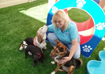 pet boarding and dog daycare in mesa, arizona