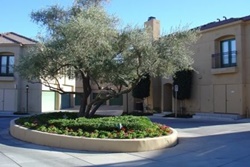 Luxury Central Residence pet friendly vacation rental in Mesa, Arizona