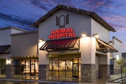 Power Road Animal Hospital pet friendly vets in mesa arizona; veterinarians in mesa arizona