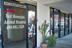 Red Mountain Animal Hospital; pet friendly vets in mesa arizona; veterinarians in mesa arizona