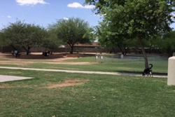 Shawnee Dog Park dog parks near Mesa, Arizona
